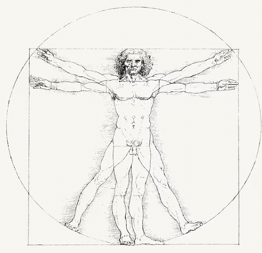 Leonardo genius vitruvian man